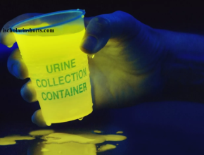 Did You Know That The Cat Urine glows under a Black light.