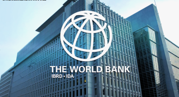 World bank net worth