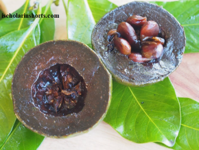 black sapote