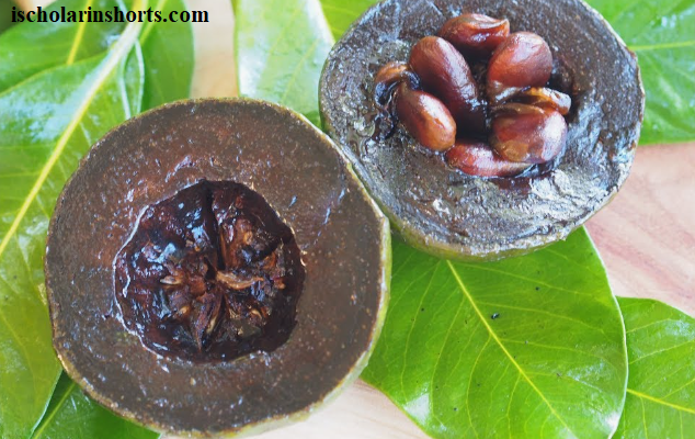 black sapote