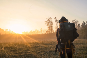 The Longest Walking Distance in the World is 14,000 miles