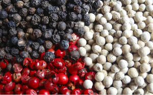 Understanding the Differences Between White and Black Pepper